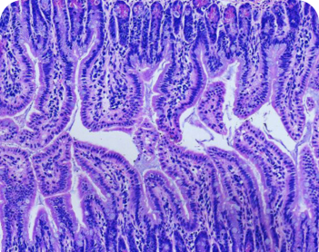 Diagnostic Pathology Card (1)